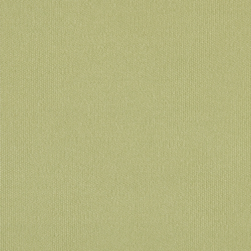 Oliva Agora Oliva Agora