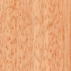 BU-02 Ecualipto Barniz Natural Butzke 