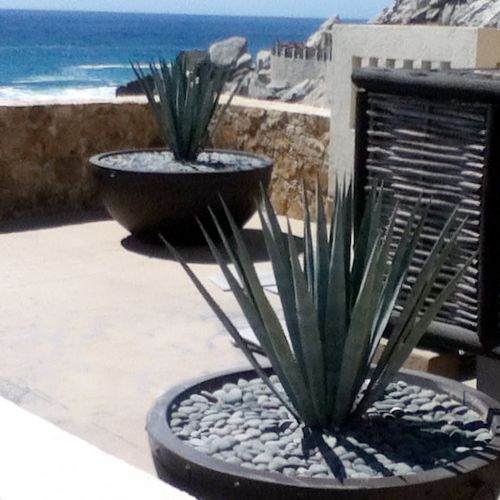 Bowls gigantes con remaches simulando oxidado